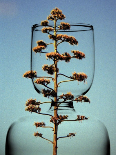 Verre Reflets