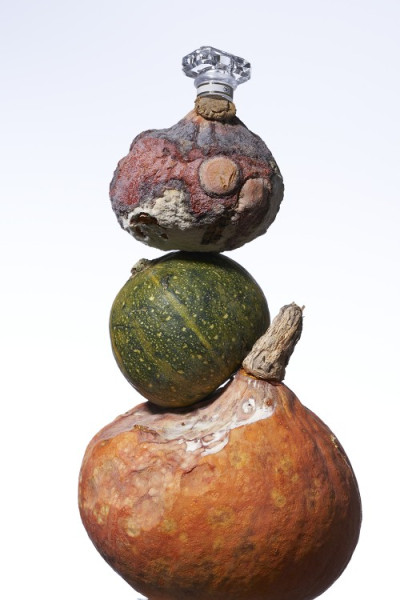 Balance