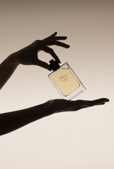Hermès Shadow