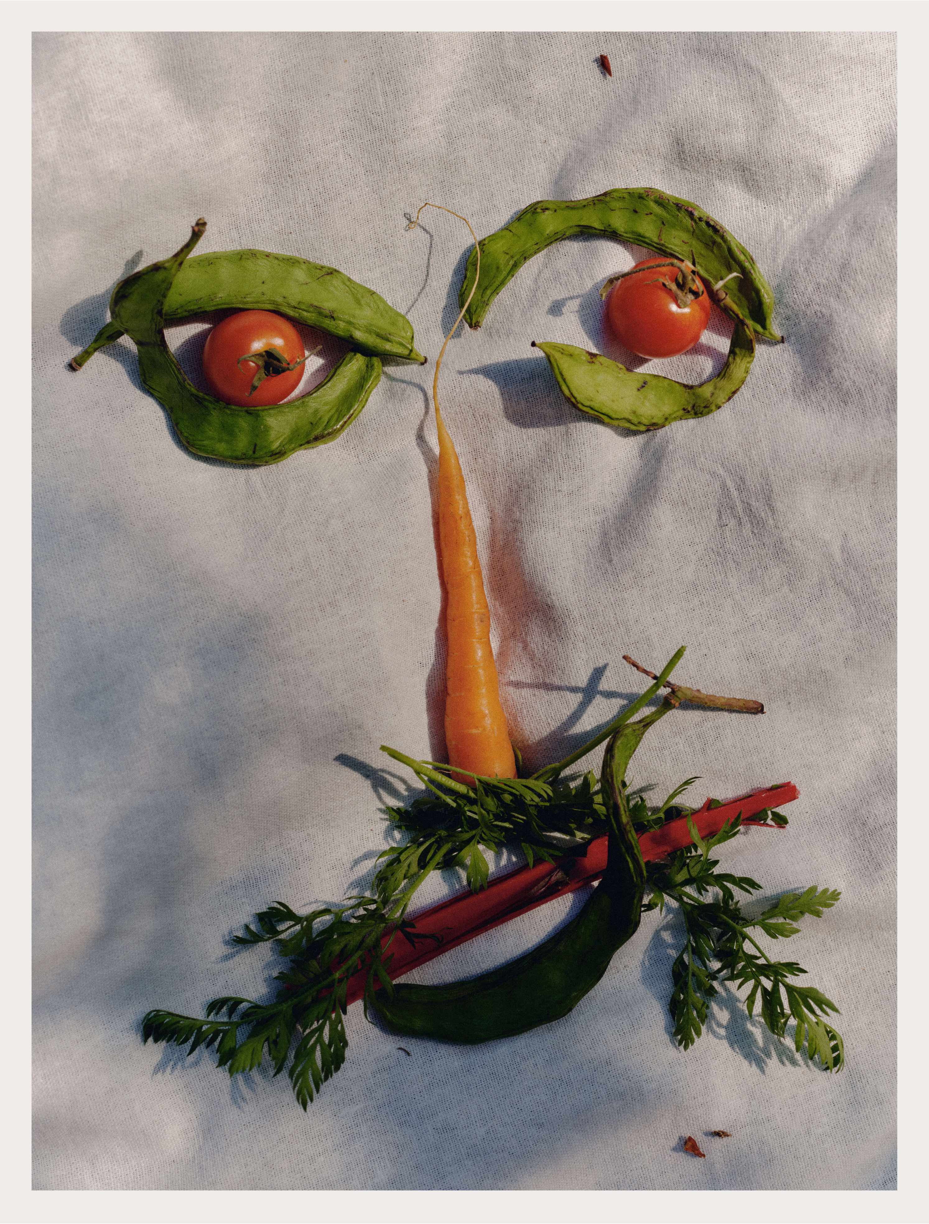 Materia Botanica