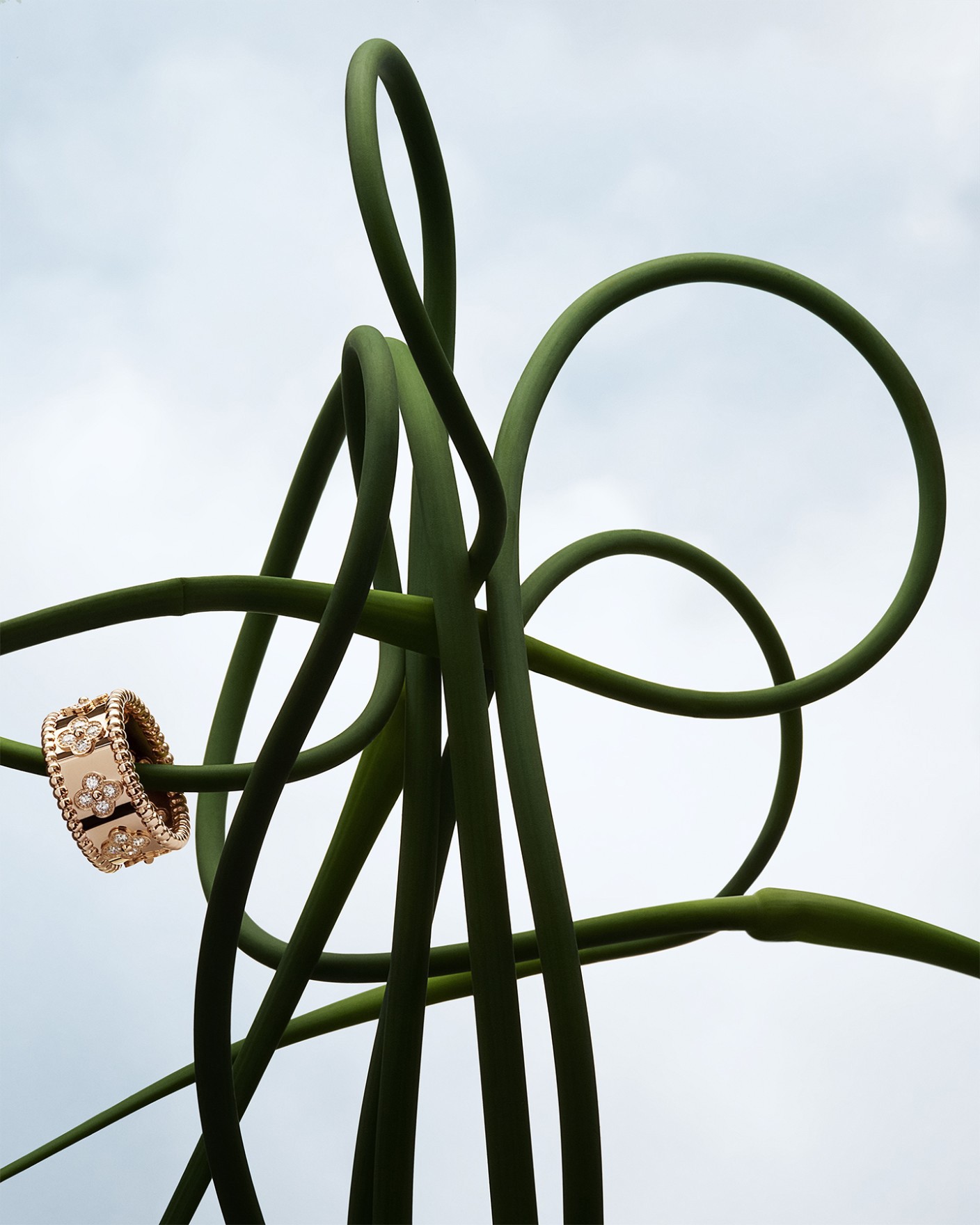 Van Cleef & Arpels
