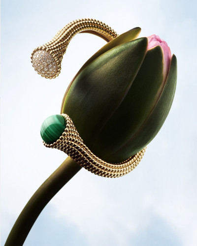 Van Cleef & Arpels – Lilly Marthe Ebener