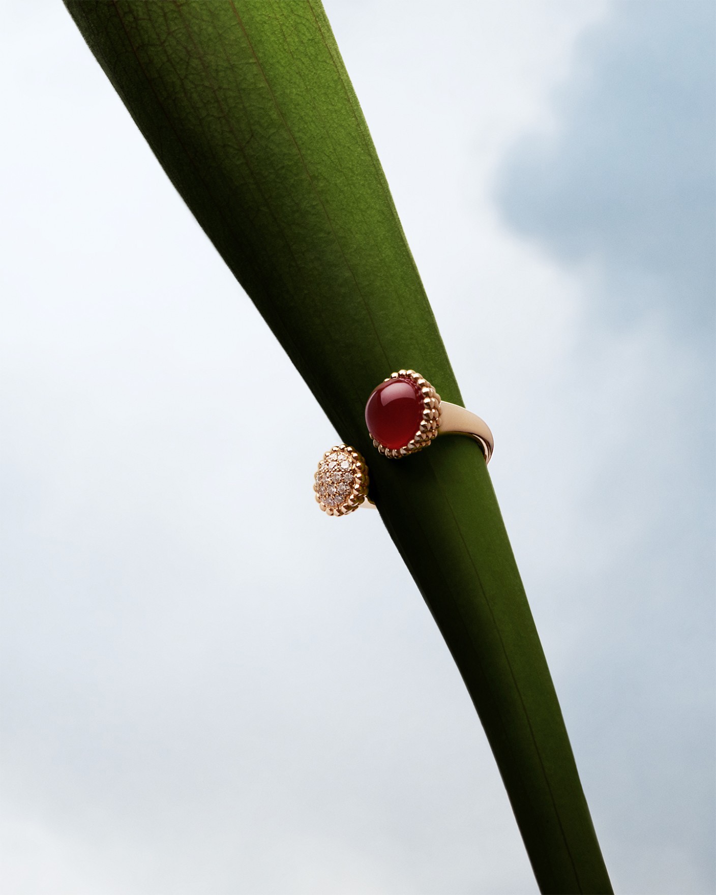 Van Cleef & Arpels
